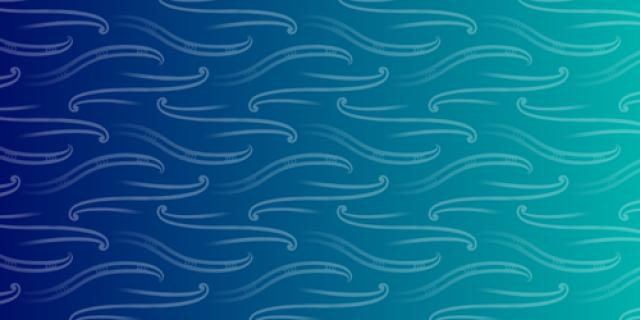 Te Reo o te Rangatahi | Te Mātāwai
